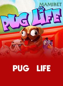 Pug Life